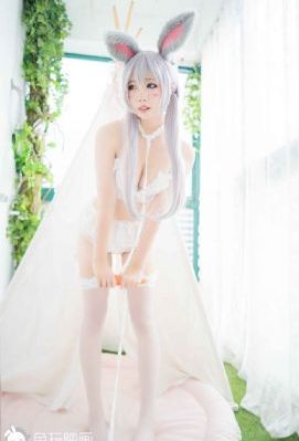 探花视频在线观看免费版_1080超清免费观看