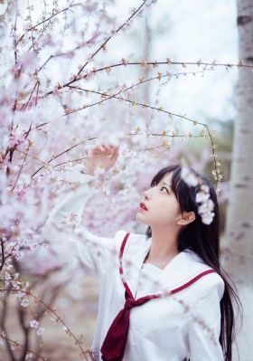 美女被XX免费网站_4K最新电影在线观看